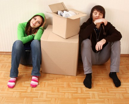 Professional moving support for small local relocation in Bayswater