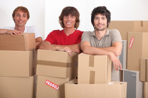 Local Bayswater removals service handling household items
